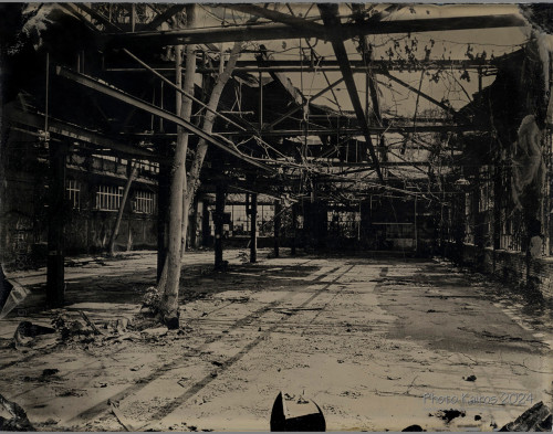 Wet Collodion Process