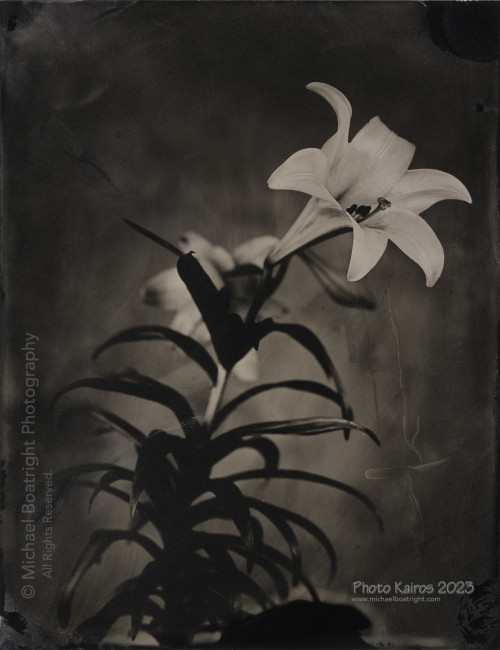 Wet Collodion Process