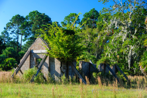 Sapelo Island
