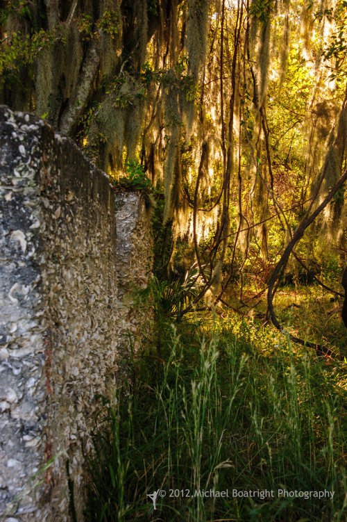 Sapelo 2012