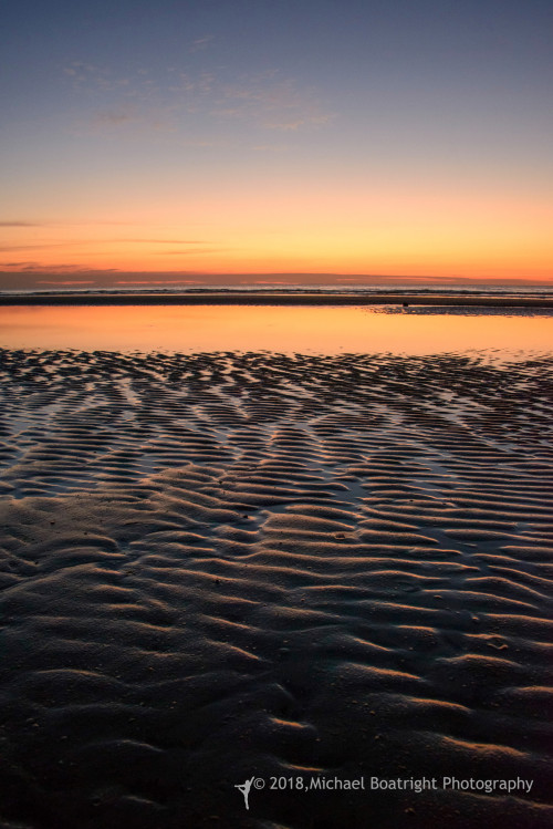 Sapelo 2018