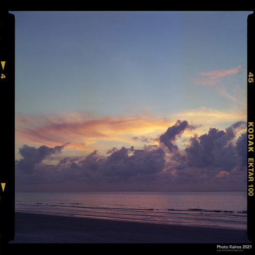 Sapelo 2021