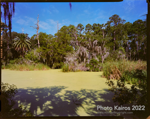 Ecological Habitats