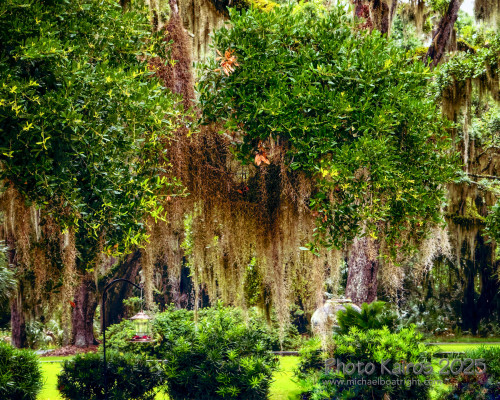 Sapelo 2025