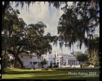 Join the Analog Photography Movement!